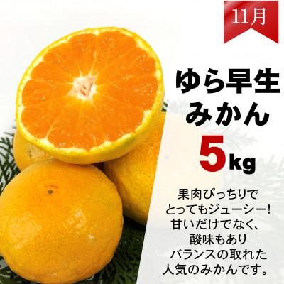 【発送月固定定期便】ご家庭用 2種のみかん定期便 (ゆら早生みかん・完熟みかん)各約5kg全2回