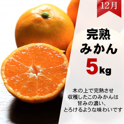 【発送月固定定期便】ご家庭用 2種のみかん定期便 (ゆら早生みかん・完熟みかん)各約5kg全2回