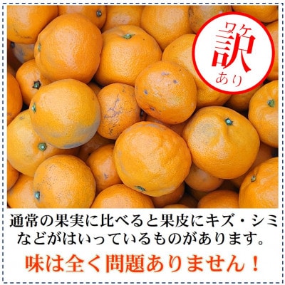 【発送月固定定期便】ご家庭用 2種のみかん定期便 (ゆら早生みかん・完熟みかん)各約5kg全2回