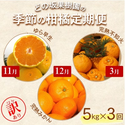 【発送月固定定期便】季節の柑橘定期便(ゆら早生・完熟みかん・不知火)ご家庭用　各約5kg全3回