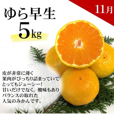 【発送月固定定期便】どの坂果樹園自慢の柑橘定期便(ゆら早生・完熟みかん・不知火)　各約5kg全3回