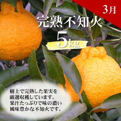 【発送月固定定期便】どの坂果樹園自慢の柑橘定期便(ゆら早生・完熟みかん・不知火)　各約5kg全3回
