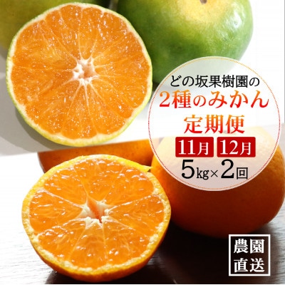 【発送月固定定期便】みかん好きのためのみかん定期便(ゆら早生みかん・完熟みかん)　各5kg　全2回