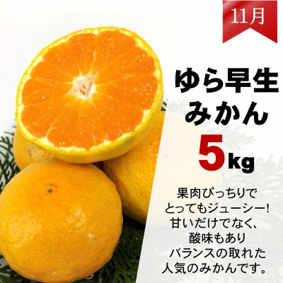 【発送月固定定期便】みかん好きのためのみかん定期便(ゆら早生みかん・完熟みかん)　各5kg　全2回