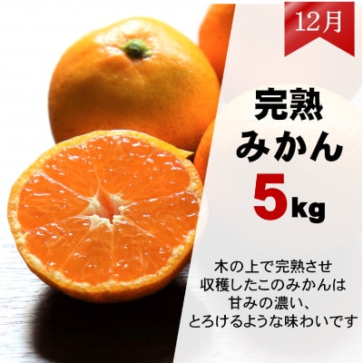 【発送月固定定期便】みかん好きのためのみかん定期便(ゆら早生みかん・完熟みかん)　各5kg　全2回