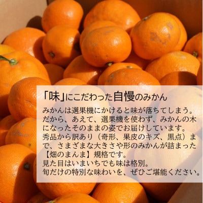 【発送月固定定期便】みかん好きのためのみかん定期便(ゆら早生みかん・完熟みかん)　各5kg　全2回