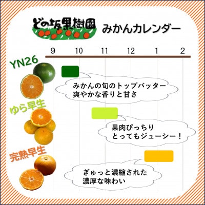 【発送月固定定期便】みかん好きに食べてほしい!旬を味わう、おいしい3種のみかん定期便 各5kg全3回