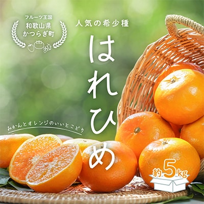 先行受付!　はれひめ(みかんの希少種)　秀品　25個～30個入　約5kg