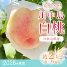 先行受付!　桃【川中島白桃】　(大玉特秀品)　約2kg　6～9個入　こだわり農家厳選!
