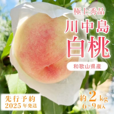 先行受付!　桃【川中島白桃】　(大玉特秀品)　約2kg　6～9個入　こだわり農家厳選!