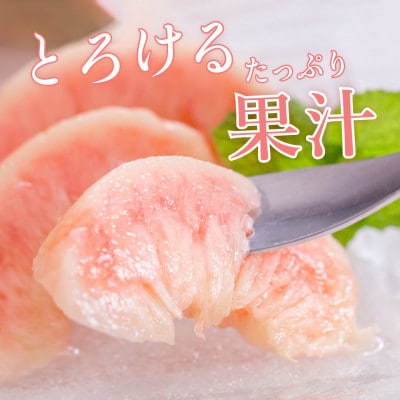 先行受付!　桃【川中島白桃】　(大玉特秀品)　約2kg　6～9個入　こだわり農家厳選!