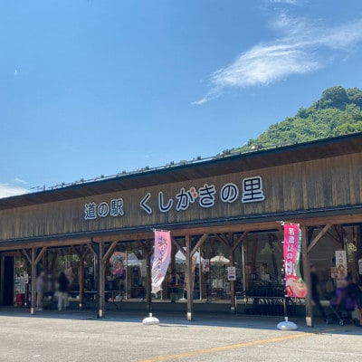 先行受付!　桃【川中島白桃】　(大玉特秀品)　約2kg　6～9個入　こだわり農家厳選!