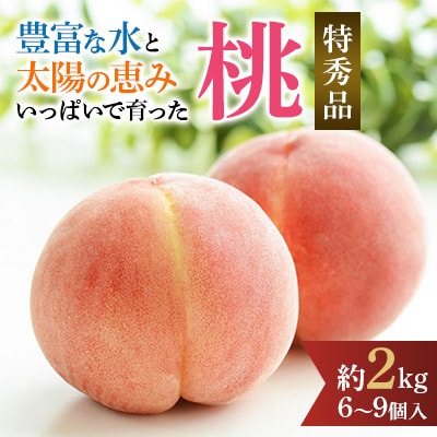 先行受付!　桃　(特秀品)　約2kg　6～9個入【2025年6月下旬より順次発送】