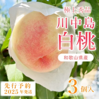 先行受付!　【川中島白桃】大玉特秀品　食べきりやすい3個入り　こだわり農家厳選!