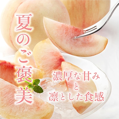 先行受付!　【川中島白桃】大玉特秀品　食べきりやすい3個入り　こだわり農家厳選!