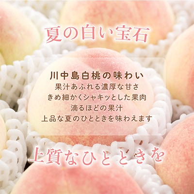 先行受付!　【川中島白桃】大玉特秀品　食べきりやすい3個入り　こだわり農家厳選!