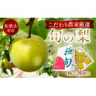 先行予約!　旬の梨　極上秀品(中玉～大玉)6～8個入り　2025年8月中旬頃から発送