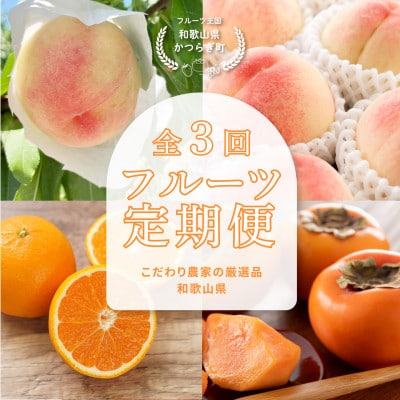 【発送月固定定期便】フルーツ定期便　品質に自信あり!道の駅よりこだわり農家厳選品!全3回