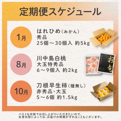 【発送月固定定期便】フルーツ定期便　品質に自信あり!道の駅よりこだわり農家厳選品!全3回