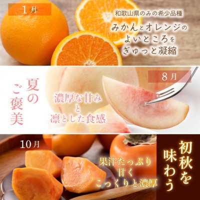 【発送月固定定期便】フルーツ定期便　品質に自信あり!道の駅よりこだわり農家厳選品!全3回