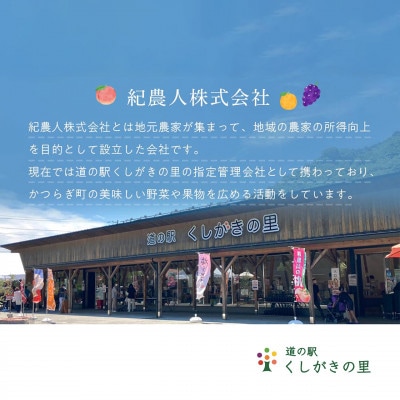 【発送月固定定期便】フルーツ定期便　品質に自信あり!道の駅よりこだわり農家厳選品!全3回