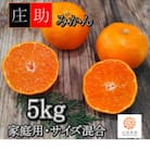 有田・庄助みかん5kg(家庭用品・サイズ混合)