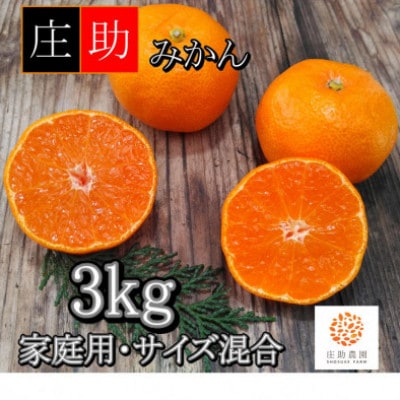 有田・庄助みかん約3kg(家庭用品・サイズ混合)