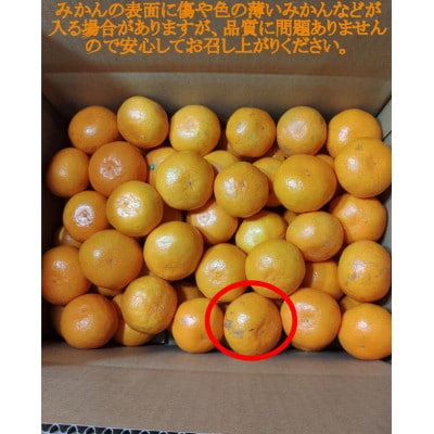 有田・庄助みかん約3kg(家庭用品・サイズ混合)