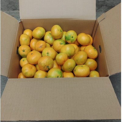 有田・庄助みかん約3kg(家庭用品・サイズ混合)