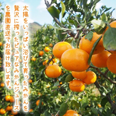みかん農家が作った 温州みかんジュース 果汁100%ストレート720ml×2本 和歌山県