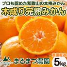【2025年12月発送】完熟濃厚 木成り温州みかん ミックスサイズ 5kg 和歌山県産