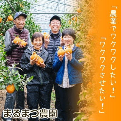 【2027年2月～4月順次発送】お好みの味に育てて楽しむ不知火　3kg　産地直送　和歌山県産