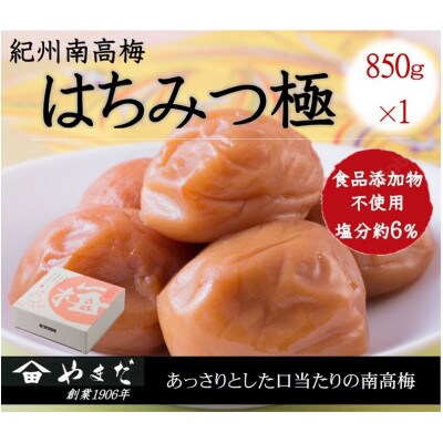 紀州南高梅はちみつ極塩分約6%(850g)