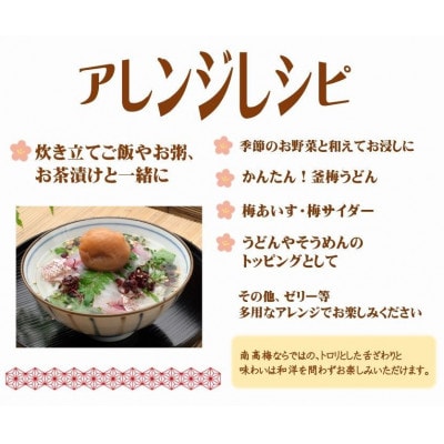 紀州南高梅プレミアム塩分約3%(850g)