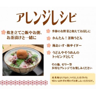 紀州南高梅しそ漬つぶれ(塩分約15%)700g×2