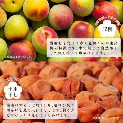 紀州南高梅つぶれ梅　はちみつ漬　400g×2パック　塩分8%