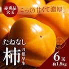 先行受付　柿(種無し)　赤秀品大玉　6個入　約1.8kg