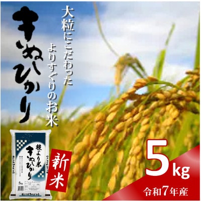 令和7年産新米　粒より米「 きぬひかり 」精米 5kg　