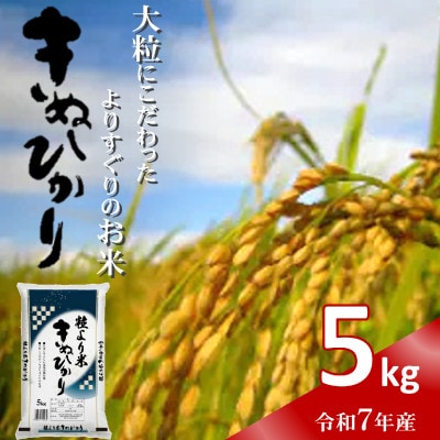 令和7年産(2025年産)　粒より米「 きぬひかり 」精米 5kg　