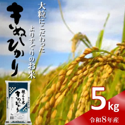 令和8年産(2026年産)　粒より米「 きぬひかり 」精米 5kg　