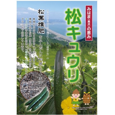 松きゅうり　5kg