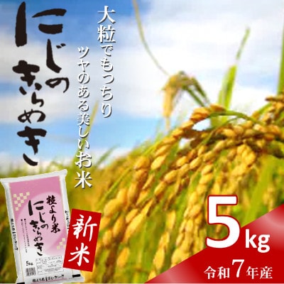 令和7年産新米　にじのきらめき　5kg　【先行受付】