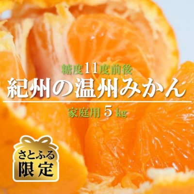 【さとふる限定】【2026年12月発送】紀州の温州みかん(家庭用)　5kg