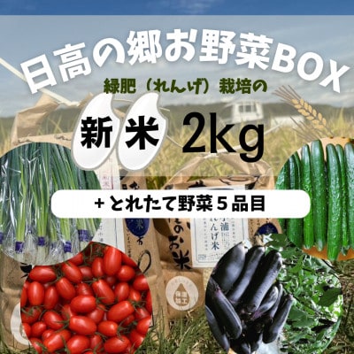日高の郷 無洗米つきお野菜BOX(白米)