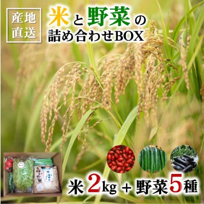 日高の郷 令和7年産米つきお野菜セット ( 米 2kg+新鮮野菜詰め合わせ) ★産地直送★