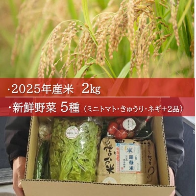 日高の郷 令和7年産米つきお野菜セット ( 米 2kg+新鮮野菜詰め合わせ) ★産地直送★