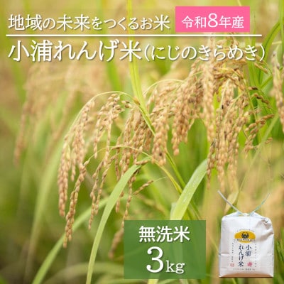 令和8年産(2026年産)新米!小浦れんげ米(にじのきらめき)【無洗米】3kg