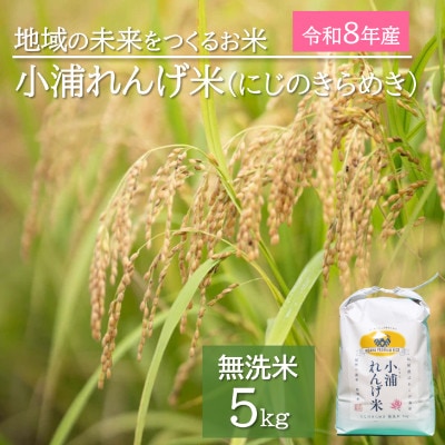 令和8年産(2026年産) 新米!小浦れんげ米(にじのきらめき)【無洗米】 5kg