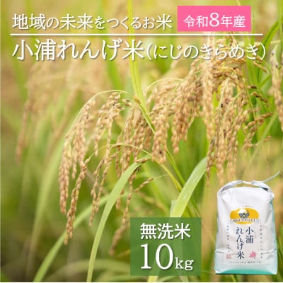 令和8年産(2026年産) 新米!小浦れんげ米(にじのきらめき)【無洗米】 10kg