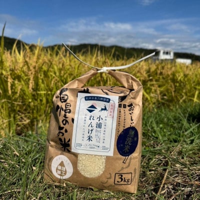 2025年度(令和7年)産!日高町小浦の小浦れんげ米【玄米】3kg